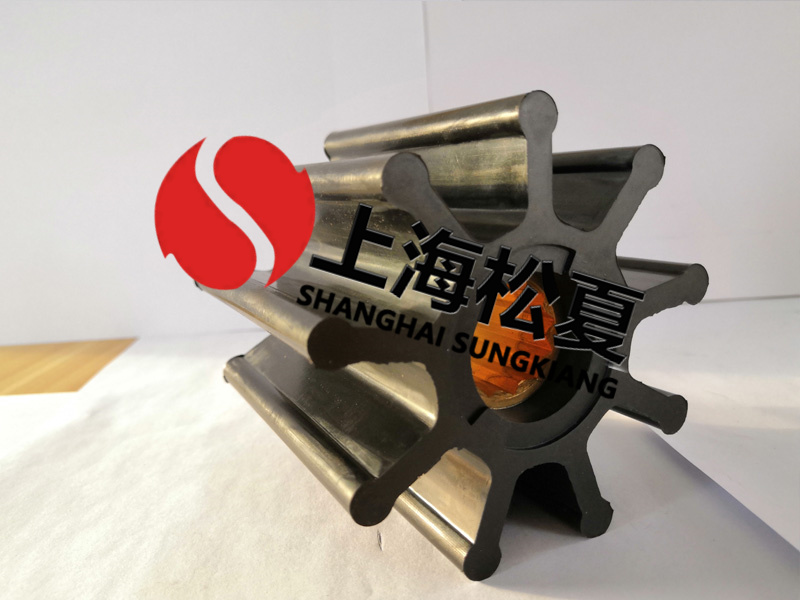 帶后葉子漿體橡膠葉輪效率更高嗎？